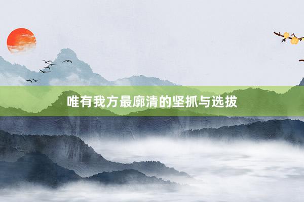 唯有我方最廓清的坚抓与选拔